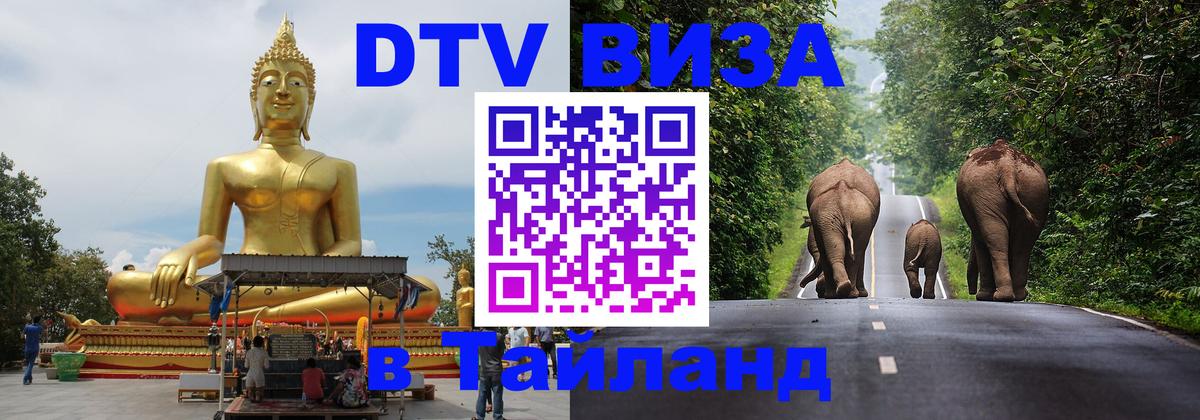 Оформление DTV визы под ключ: стоимость и тарифы, только загранпаспорт - 